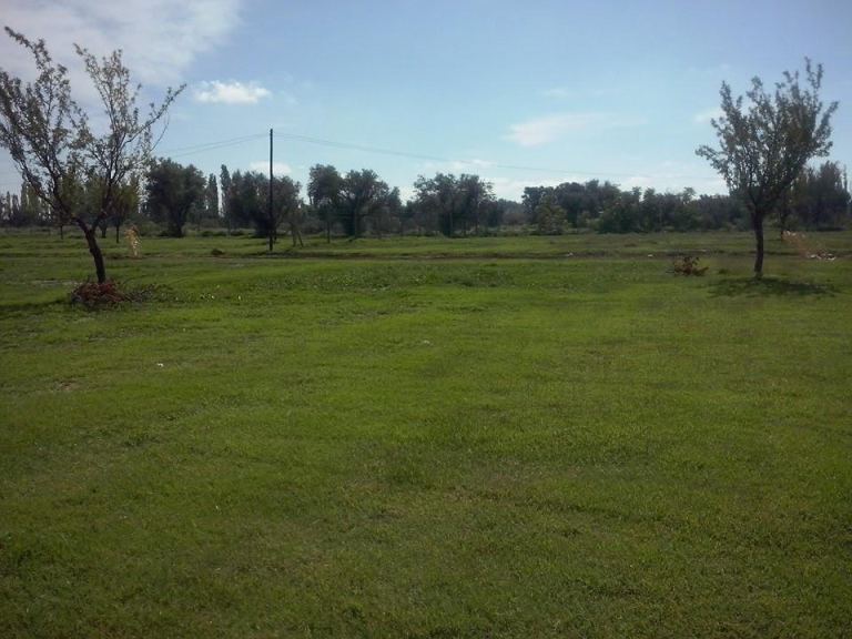 Lote en Venta en Junin, Mendoza