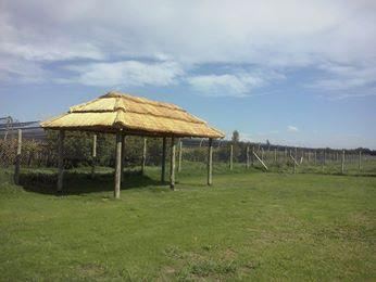 Lote en Venta en Junin, Mendoza