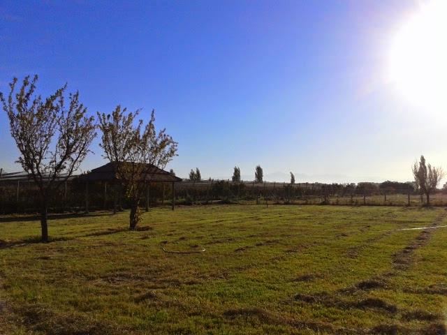 Lote en Venta en Junin, Mendoza