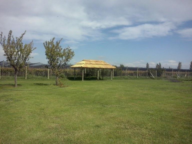 Lote en Venta en Junin, Mendoza