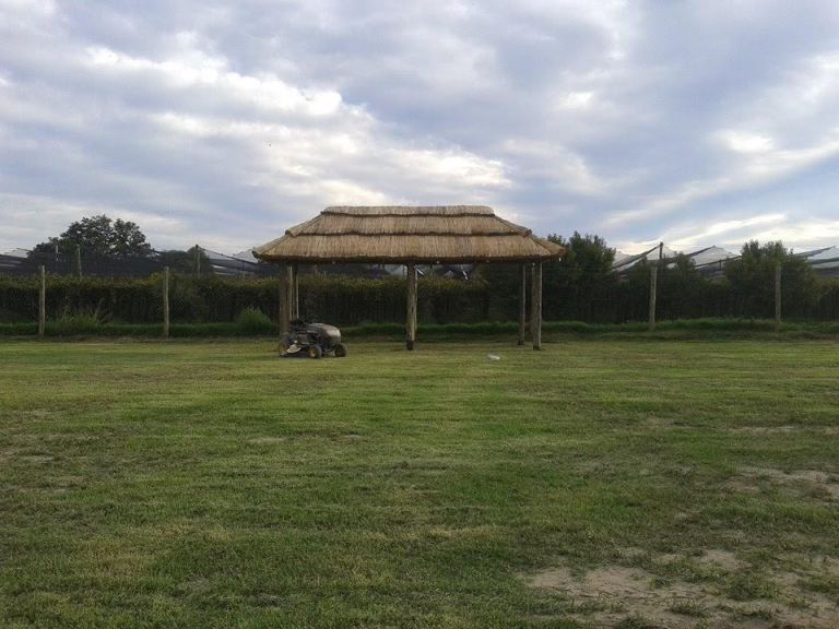 Lote en Venta en Junin, Mendoza