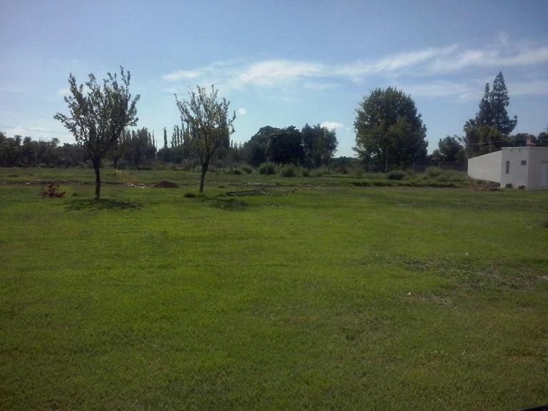 Lote en Venta en Junin, Mendoza
