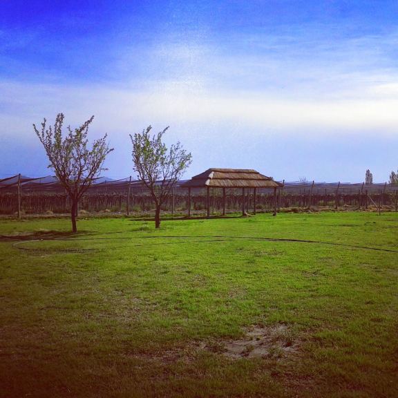 Lote en Venta en Junin, Mendoza