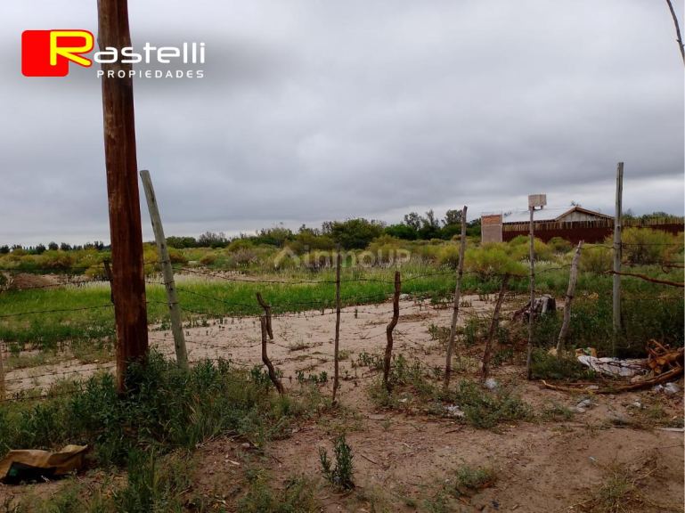 Lote en Venta en San Martin, Mendoza
