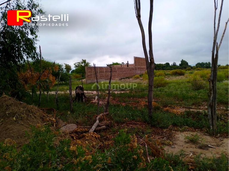 Lote en Venta en San Martin, Mendoza
