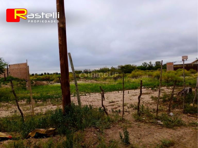 Lote en Venta en San Martin, Mendoza