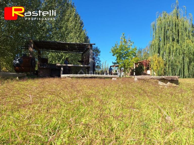 Casa en Alquiler en Junin, Mendoza