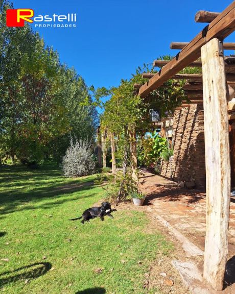 Casa en Alquiler en Junin, Mendoza