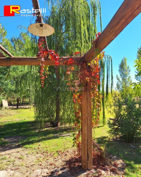 Casa en Alquiler en Junin, Mendoza