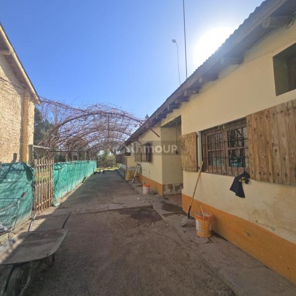 Finca en Venta en Rivadavia, Mendoza
