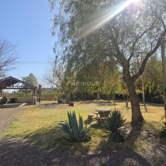 Finca en Venta en Rivadavia, Mendoza
