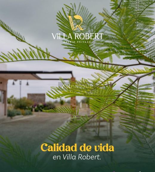 Lote en Venta en San Martin, Mendoza