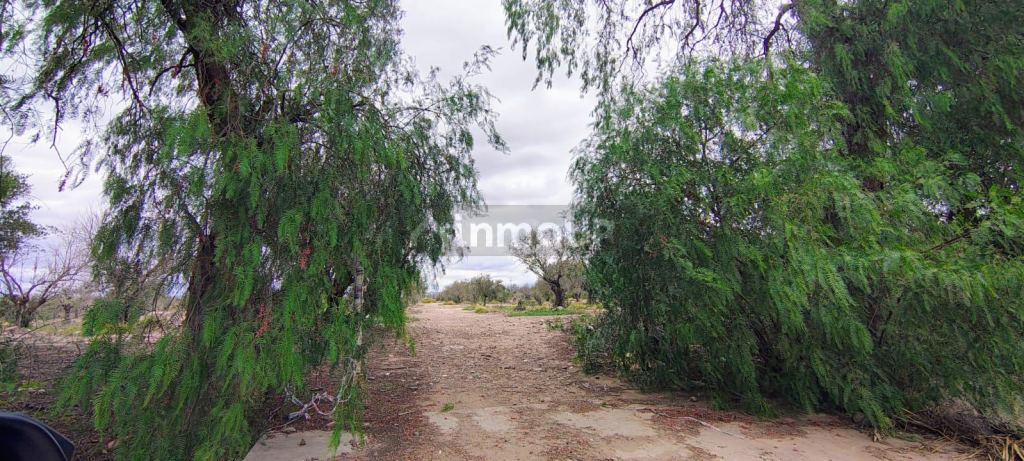 Campo en Venta en Maipu, Mendoza