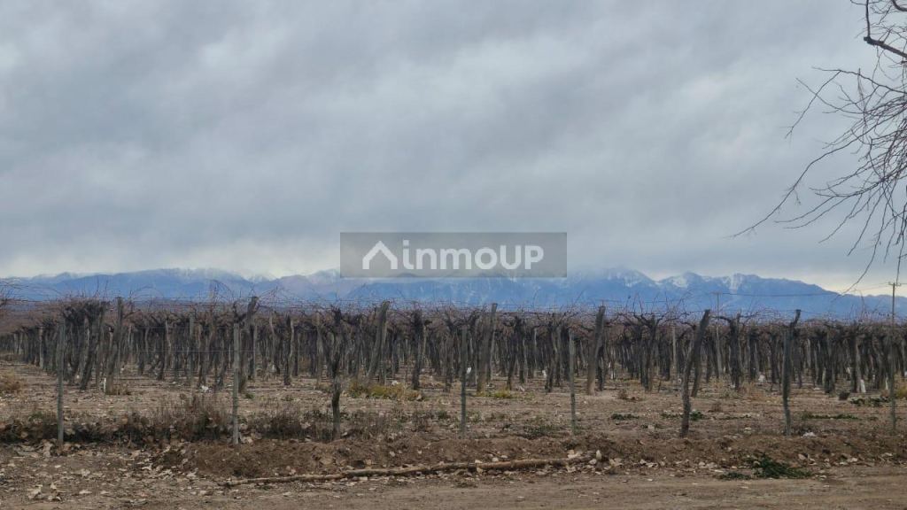 Finca en Venta en Guaymallen, Mendoza