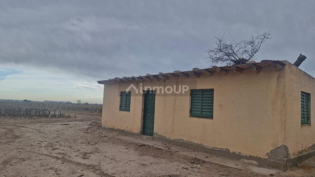 Finca en Venta en Guaymallen, Mendoza