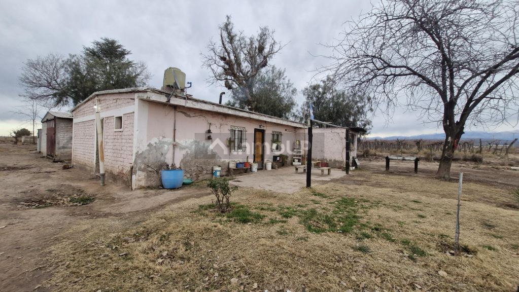 Finca en Venta en Guaymallen, Mendoza