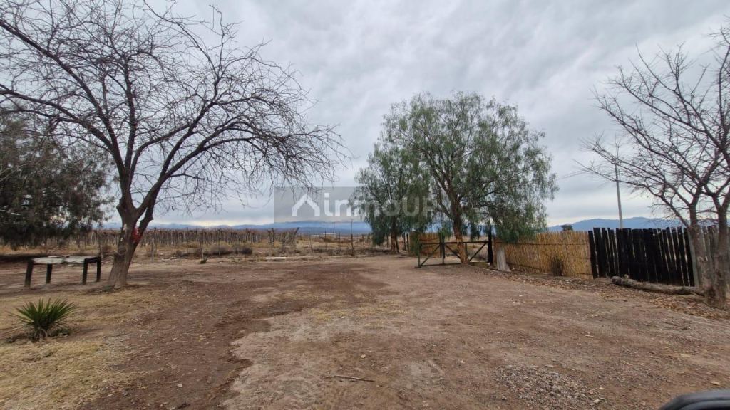 Finca en Venta en Guaymallen, Mendoza