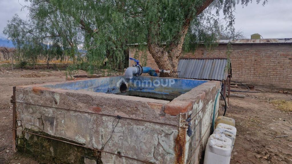 Finca en Venta en Guaymallen, Mendoza