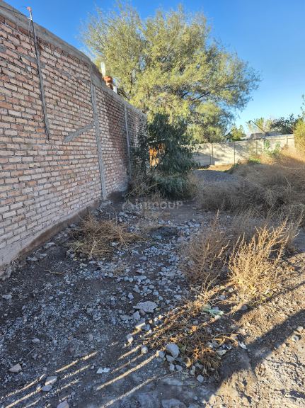 Lote en Venta en Albardon, San Juan