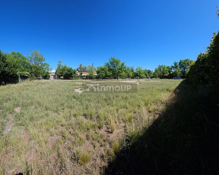 Lote en Venta en Lujan de Cuyo, Mendoza