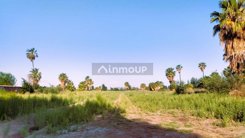 Finca en Venta en Guaymallen, Mendoza