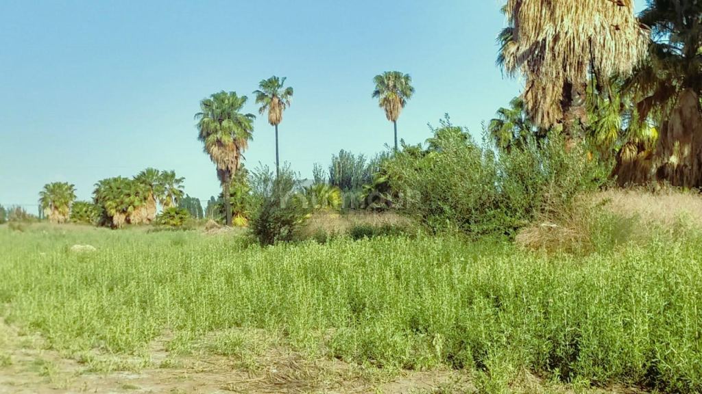 Finca en Venta en Guaymallen, Mendoza