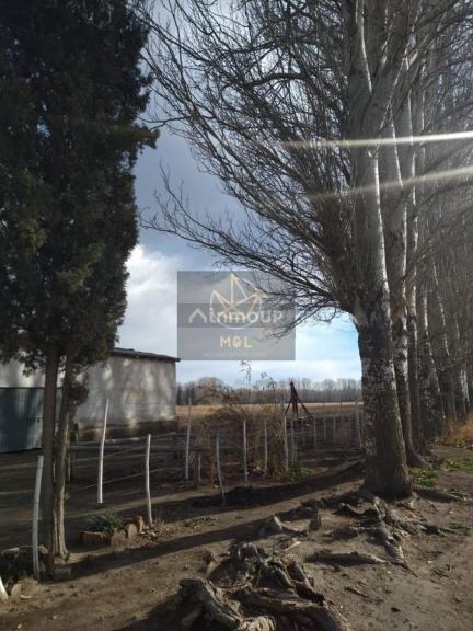 Casa Quinta en Venta en Tunuyan, Mendoza