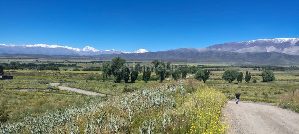 Terreno en Venta en Tupungato, Mendoza