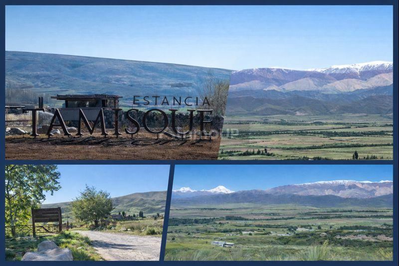 Terreno en Venta en Tupungato, Mendoza