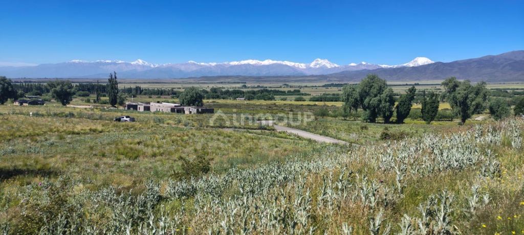 Terreno en Venta en Tupungato, Mendoza