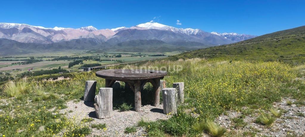 Terreno en Venta en Tupungato, Mendoza