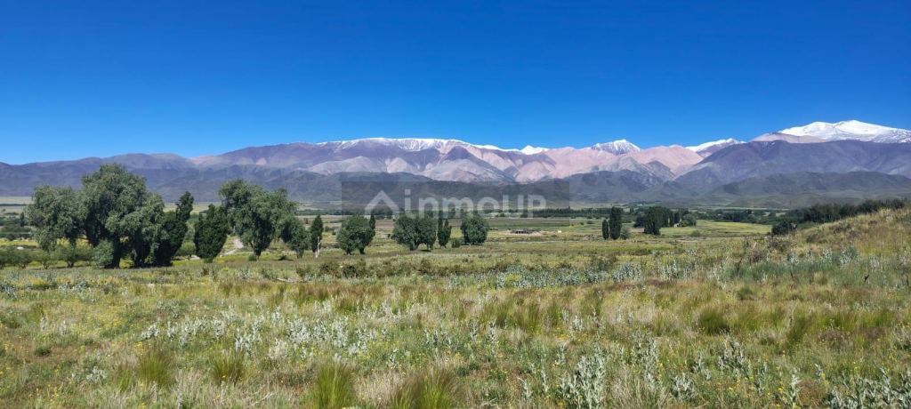 Terreno en Venta en Tupungato, Mendoza