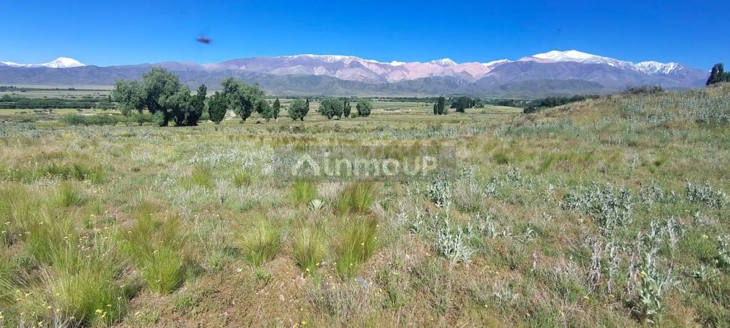 Terreno en Venta en Tupungato, Mendoza