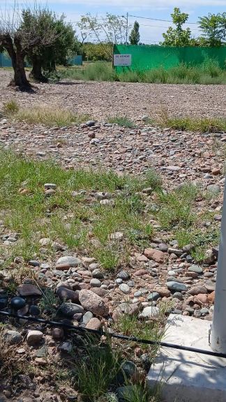 Terreno en Venta en Maipu, Mendoza