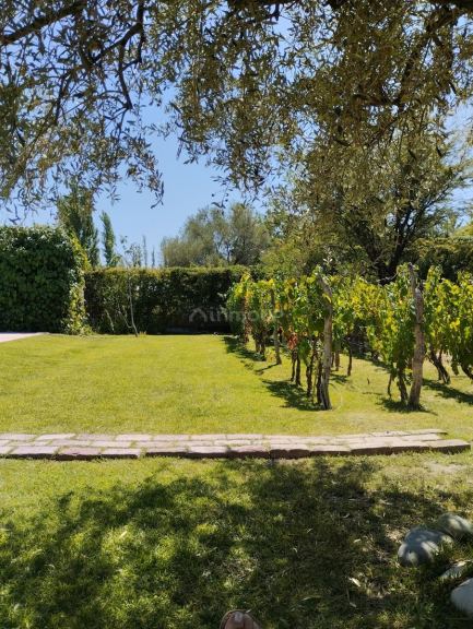 Casa en Alquiler en Lujan de Cuyo, Mendoza