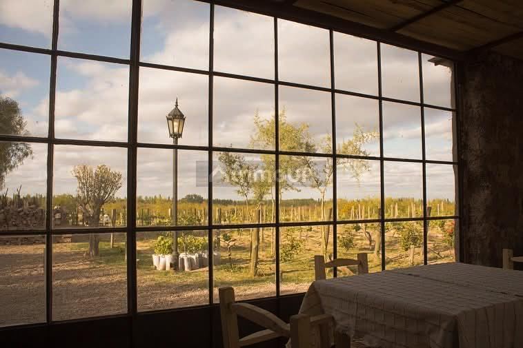 Casa en Venta en San Rafael, Mendoza