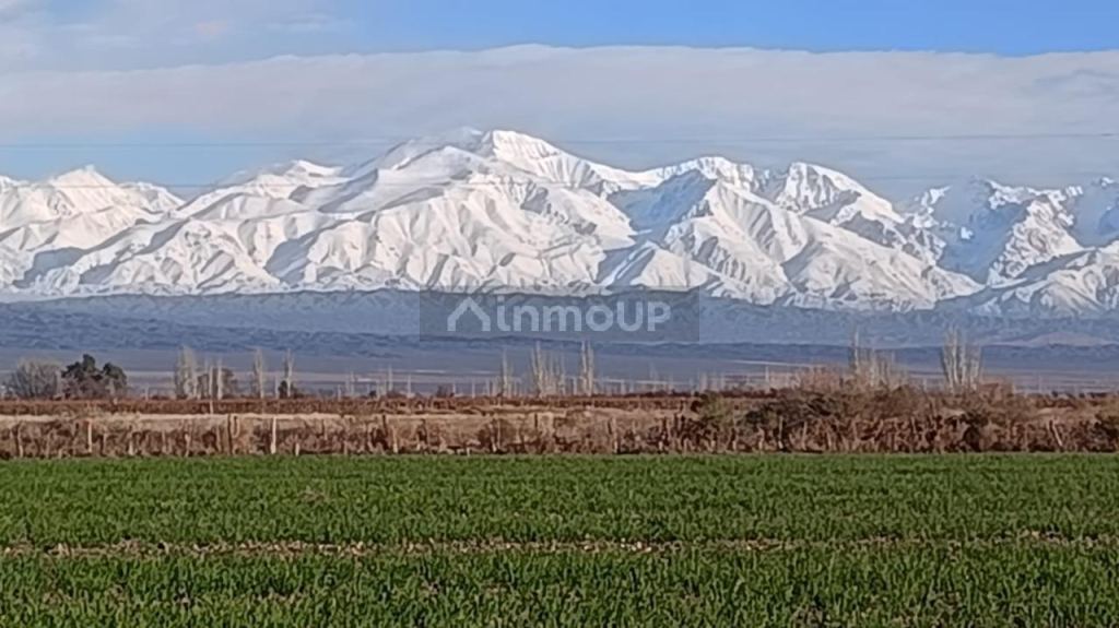 Terreno en Venta en Tunuyan, Mendoza