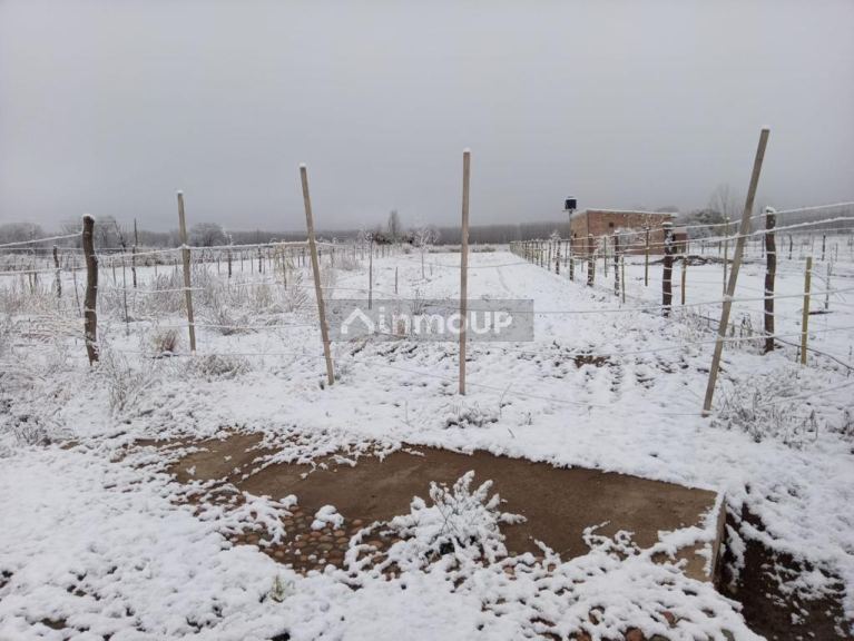 Terreno en Venta en Tunuyan, Mendoza