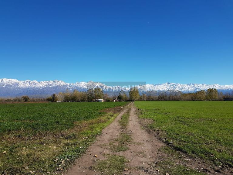 Terreno en Venta en Tunuyan, Mendoza