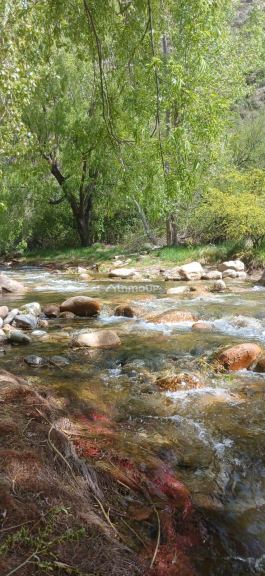 Cabaña en Venta en Tunuyan, Mendoza