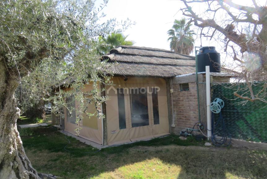 Casa Quinta en Alquiler en Maipu, Mendoza