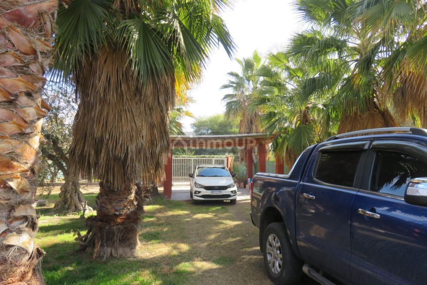 Casa Quinta en Alquiler en Maipu, Mendoza
