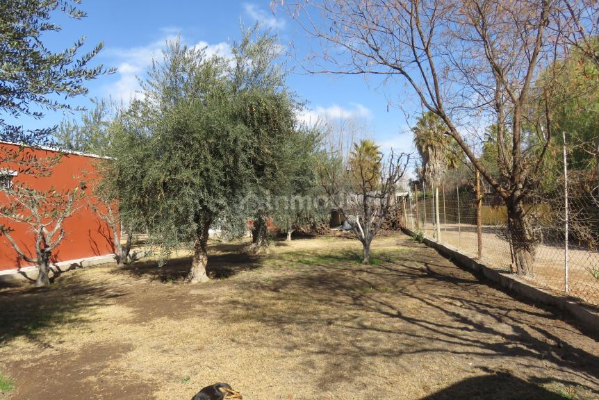 Casa Quinta en Alquiler en Maipu, Mendoza