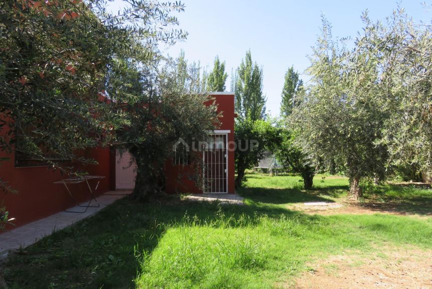 Casa Quinta en Alquiler en Maipu, Mendoza