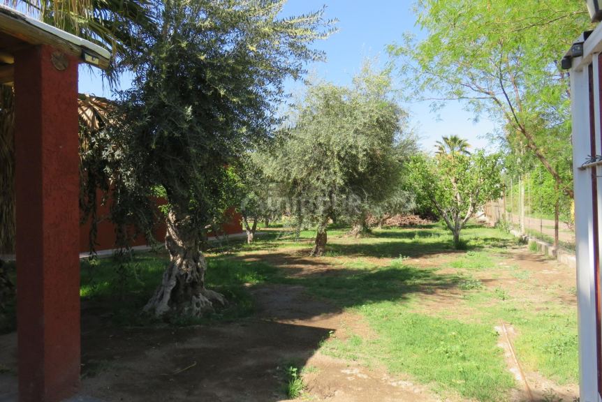 Casa Quinta en Alquiler en Maipu, Mendoza