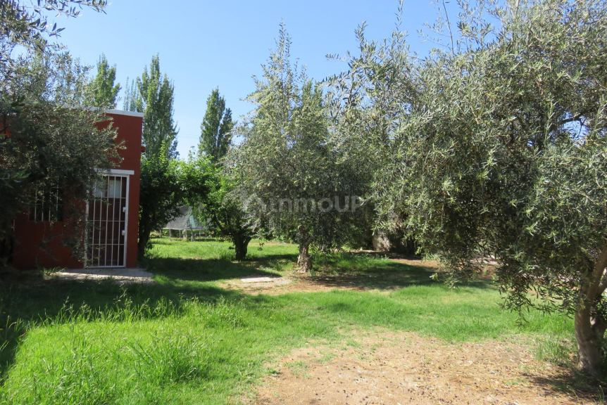 Casa Quinta en Venta en Maipu, Mendoza