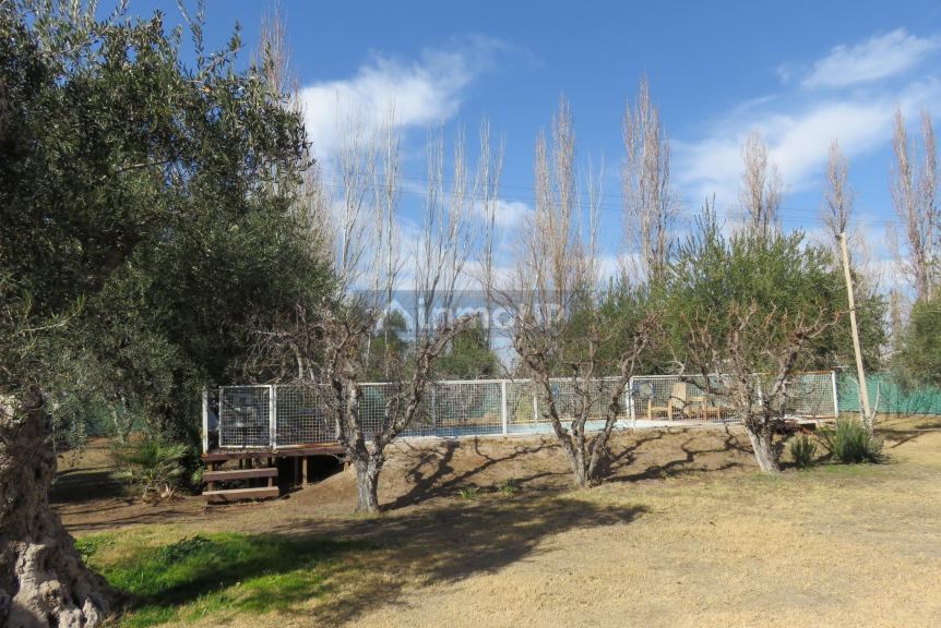 Casa Quinta en Venta en Maipu, Mendoza