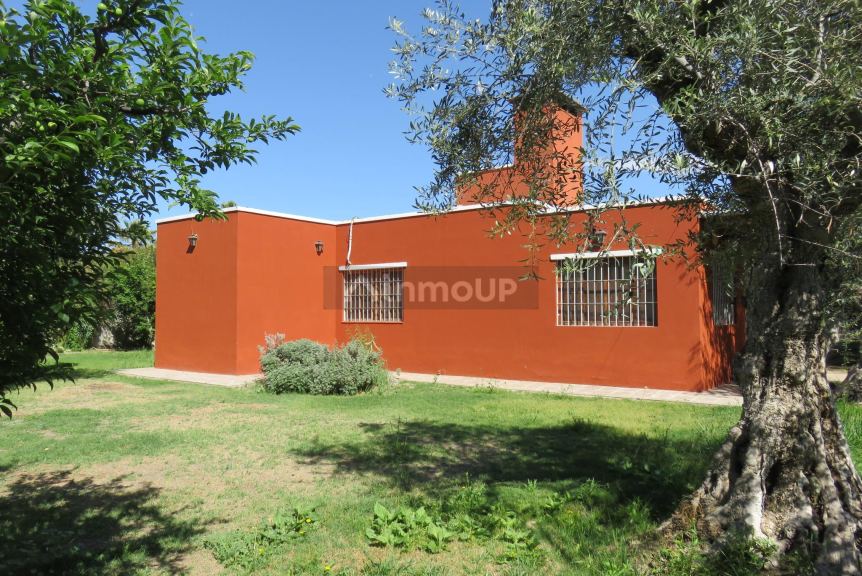 Casa Quinta en Venta en Maipu, Mendoza