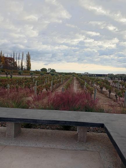 Lote en Venta en Lujan de Cuyo, Mendoza