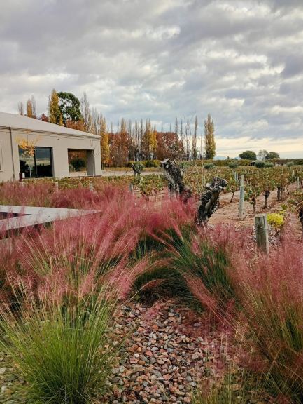 Lote en Venta en Lujan de Cuyo, Mendoza